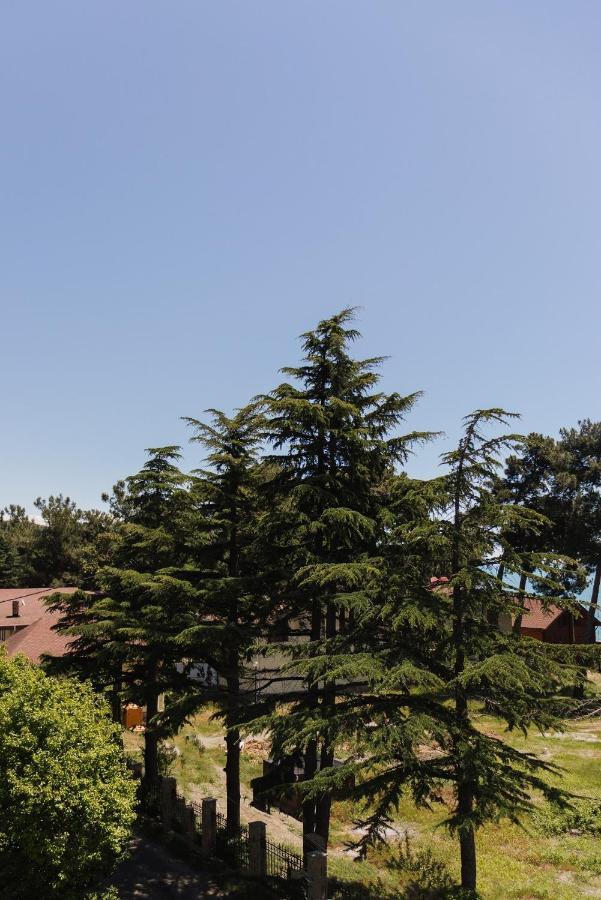 Hotel Talion, Pitsunda Lidzava Exterior foto